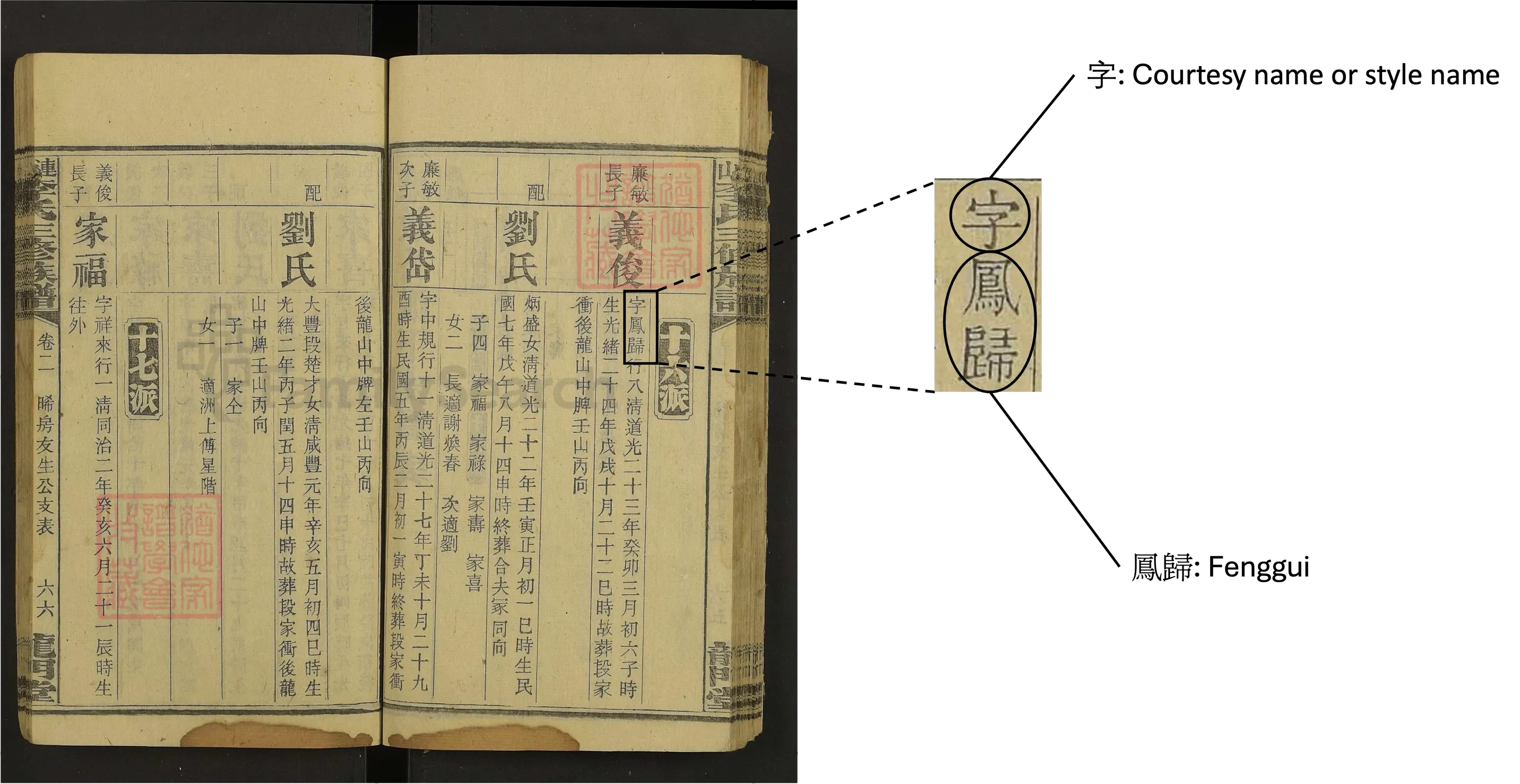 Alternate Name Details