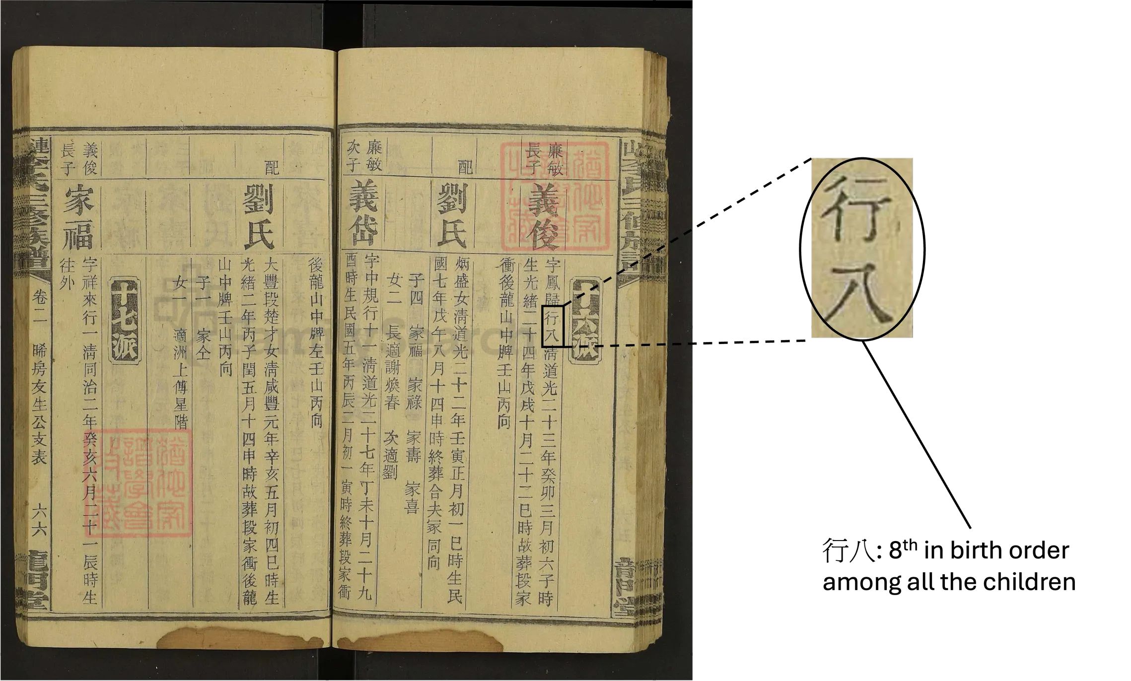 Birth Order Among All Children Details