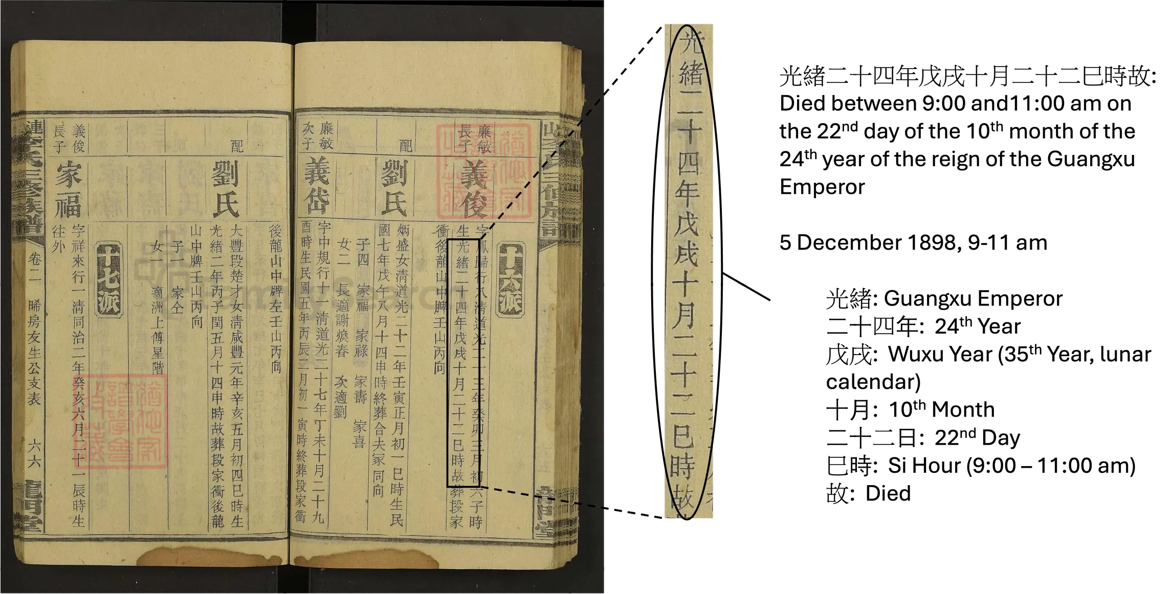 Date of Death Details