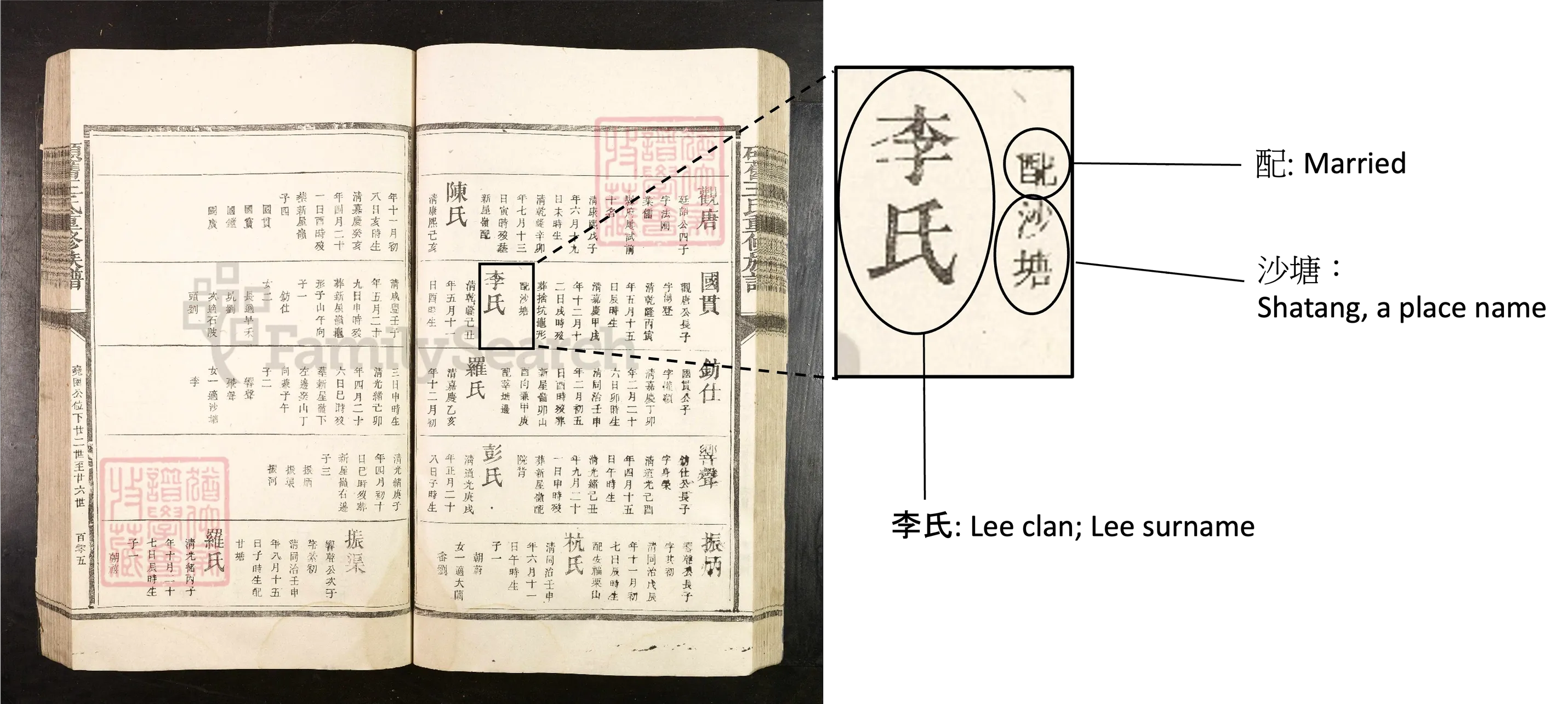 Spouse's Place of Birth Details