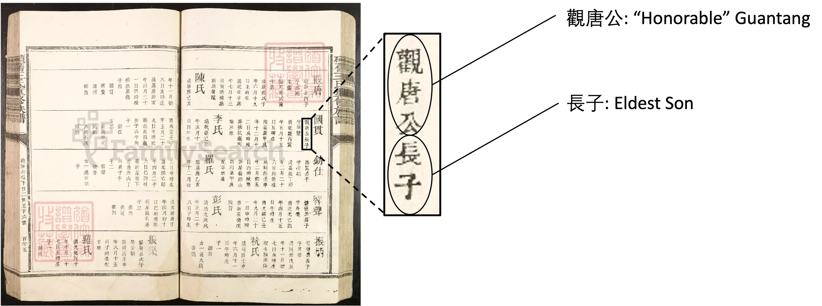 Father's Name and Birth Order Details