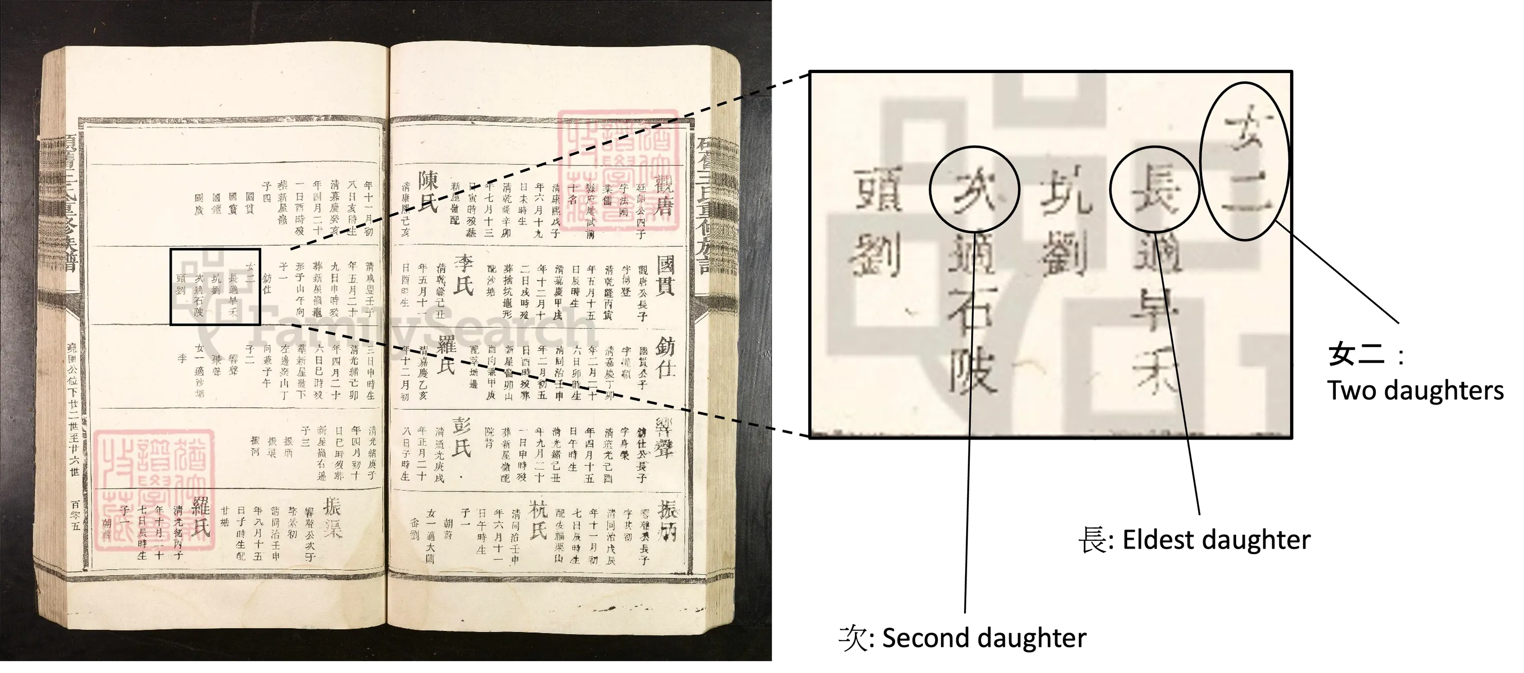 Number of Daughters Details