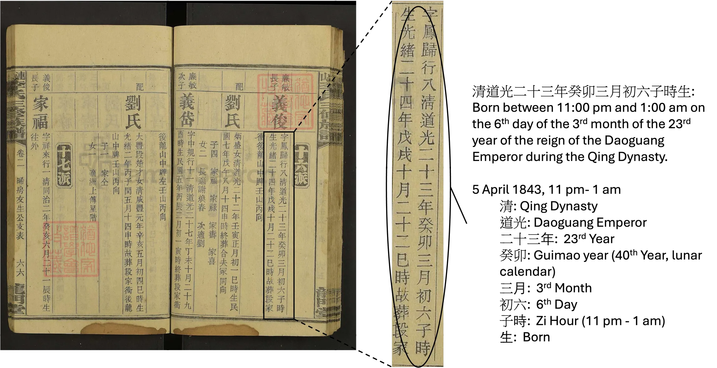 Date of Birth Details