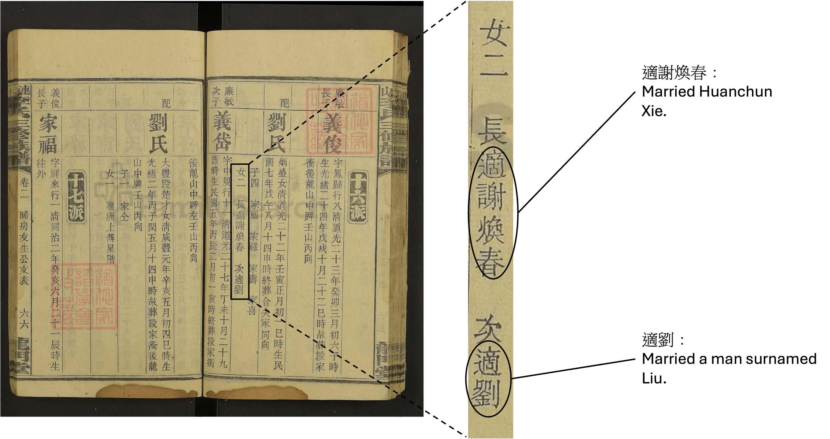 Surnames of Sons-in-law Details