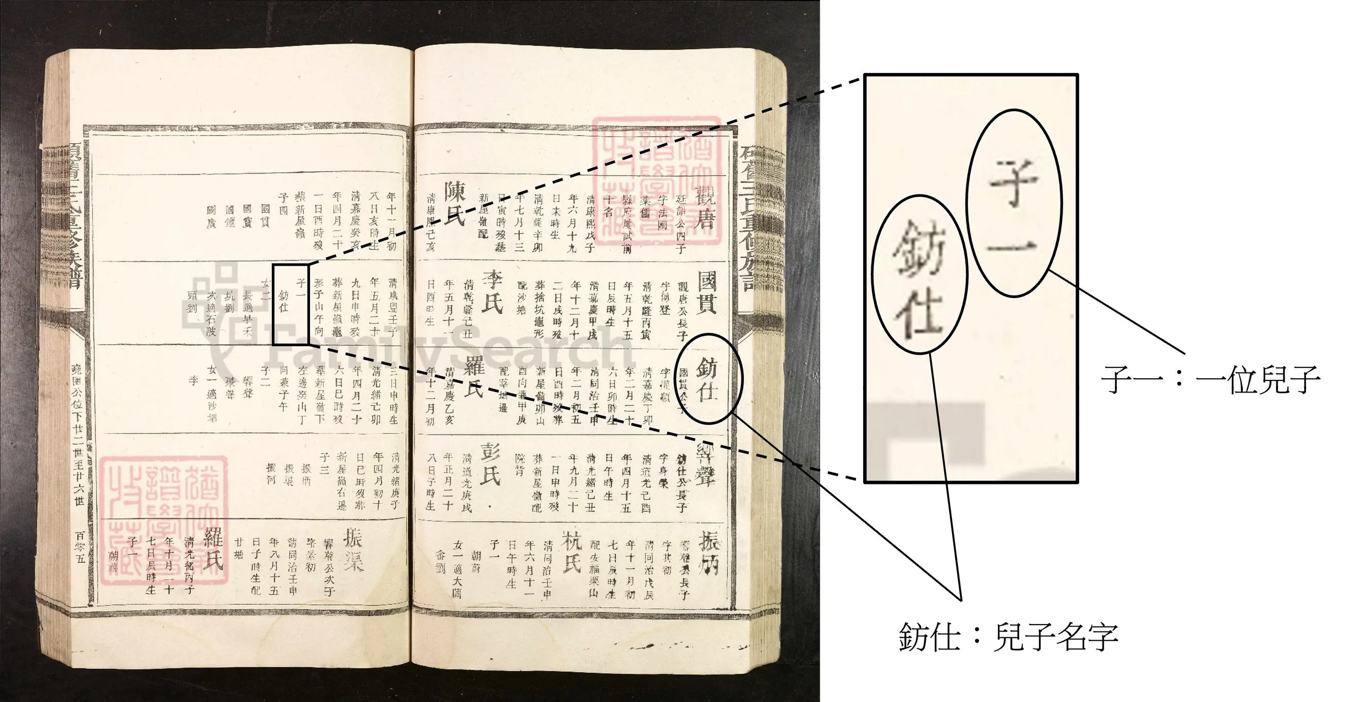 兒子數量詳情