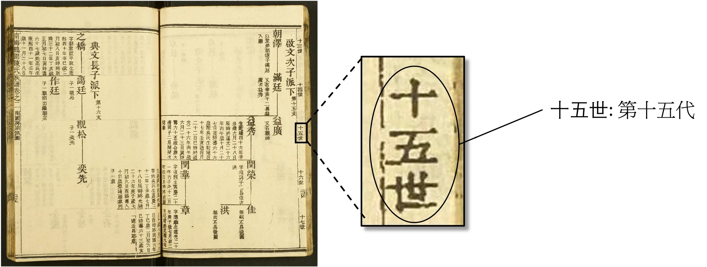 世代詳情