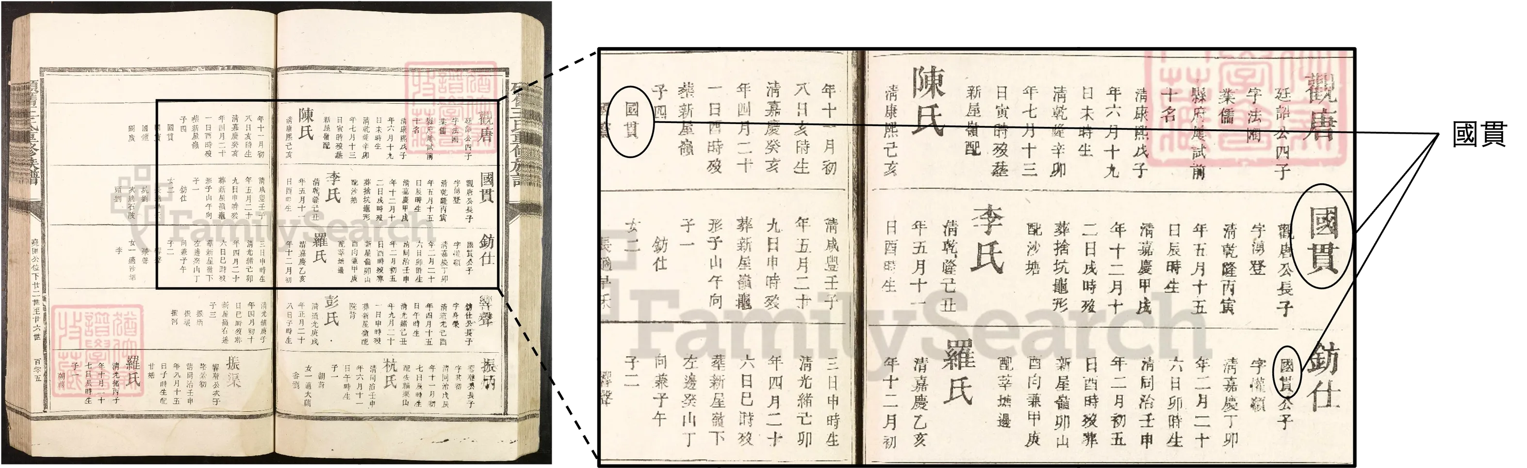 名字詳情