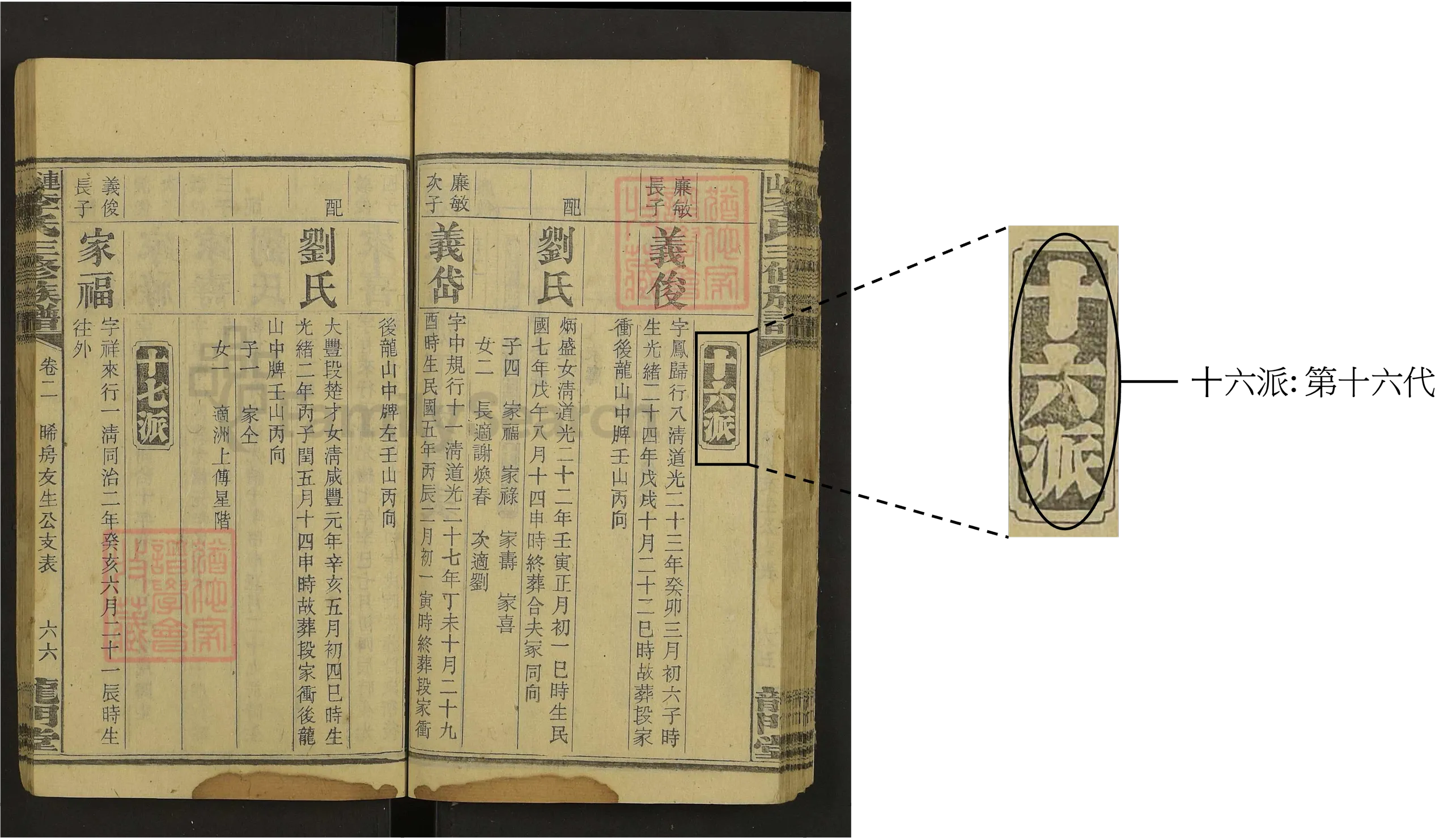 世代詳情