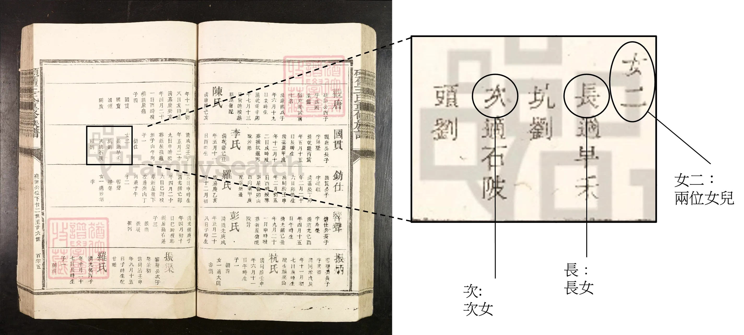 女兒數量詳情