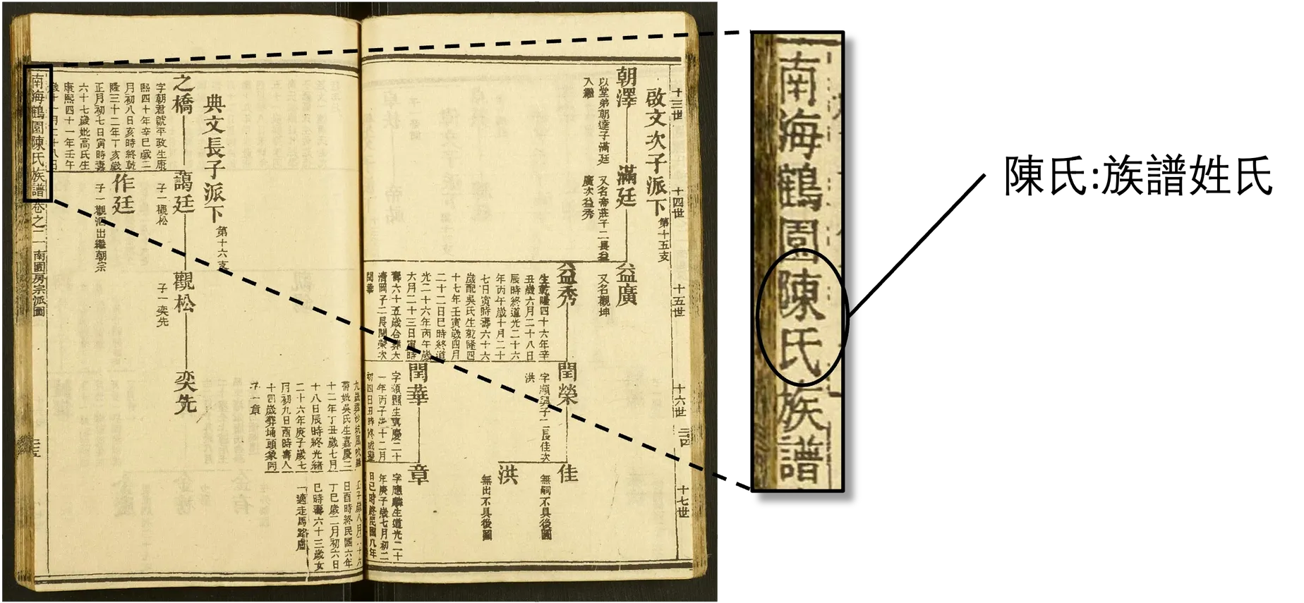 姓氏詳情