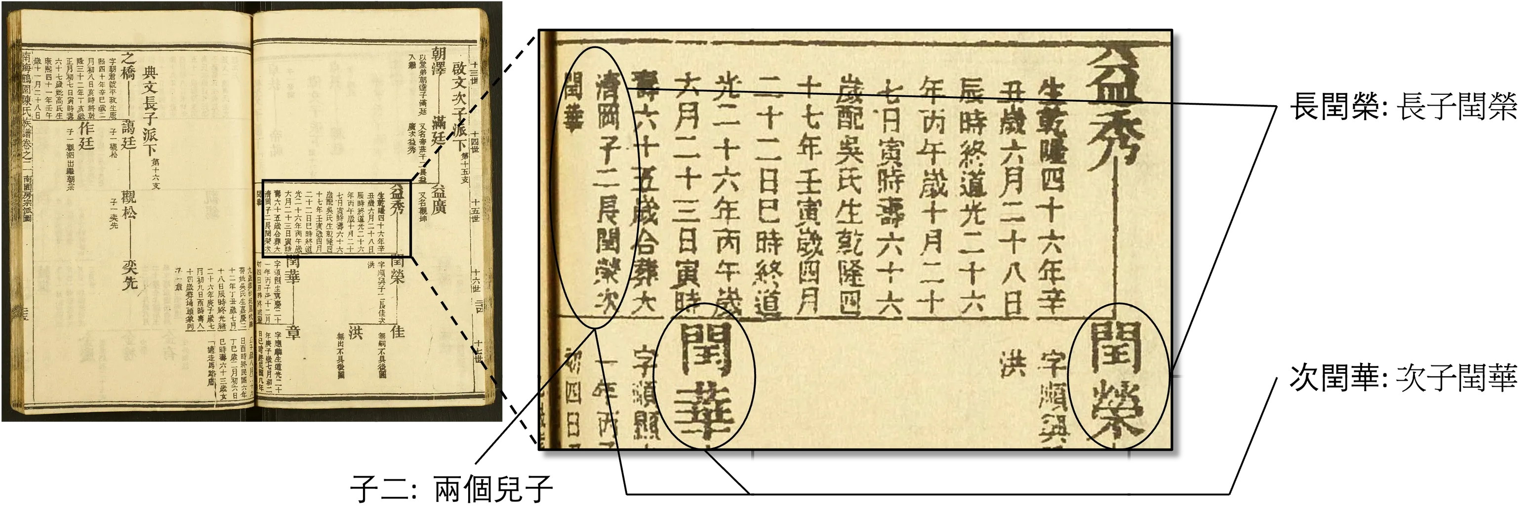 兒子數量詳情