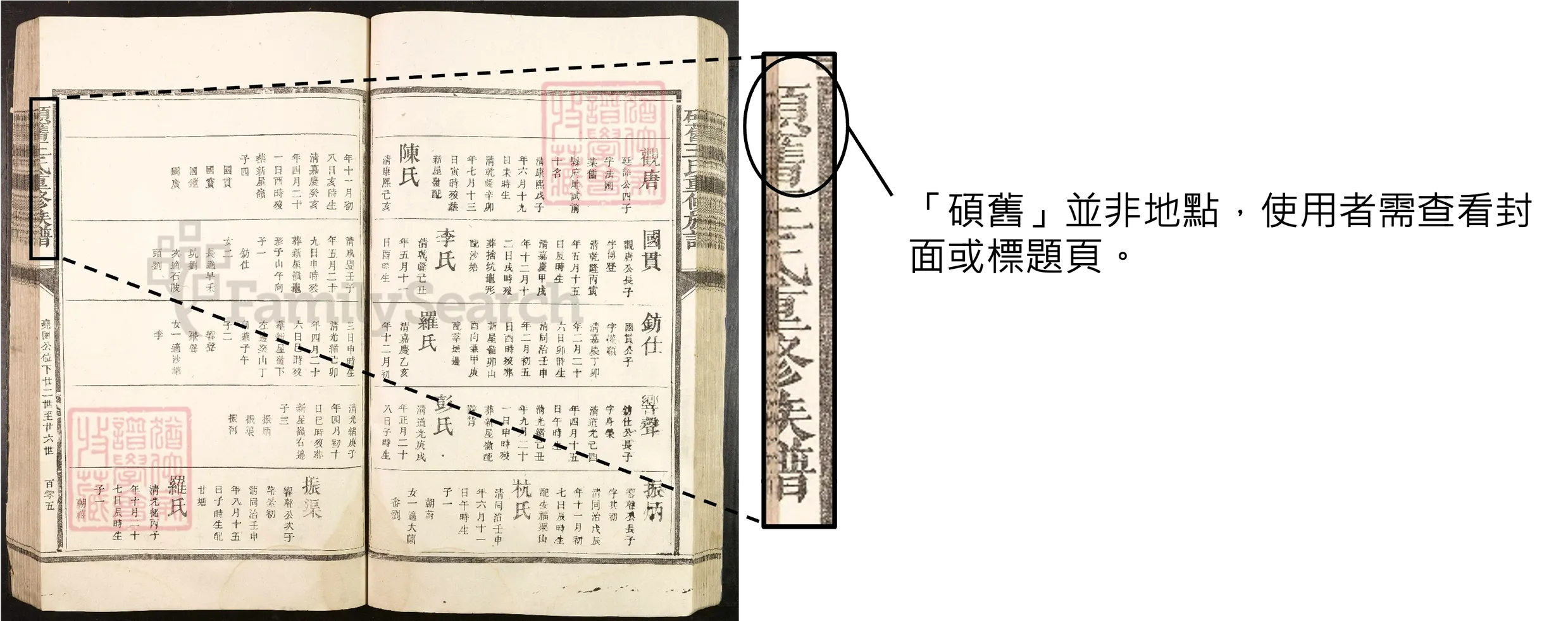 出生地點詳情