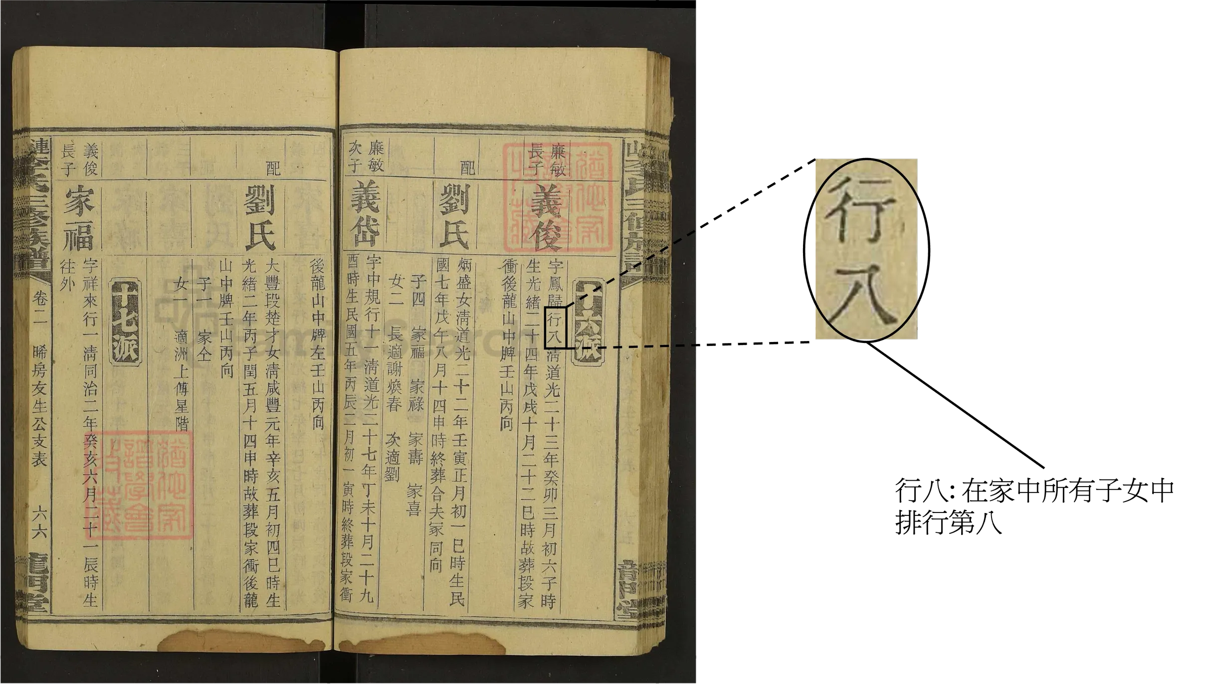 全體子女中的排行詳情