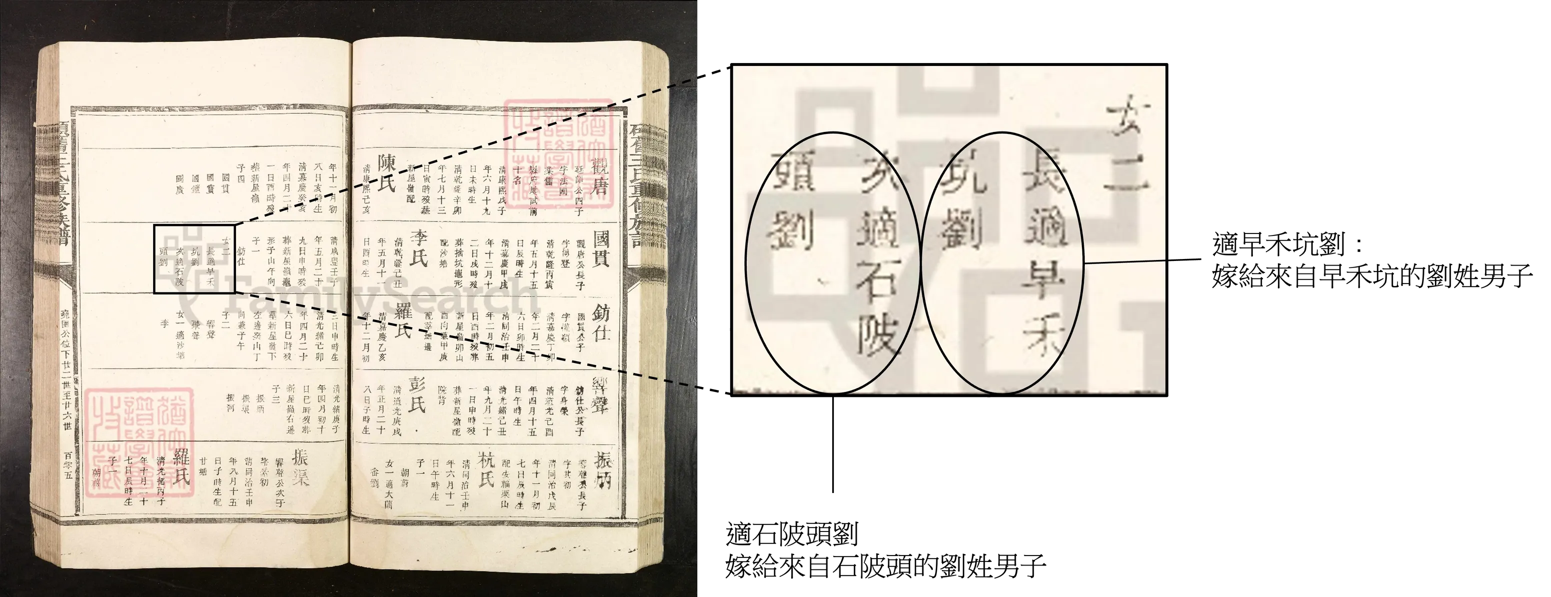 女婿姓氏詳情