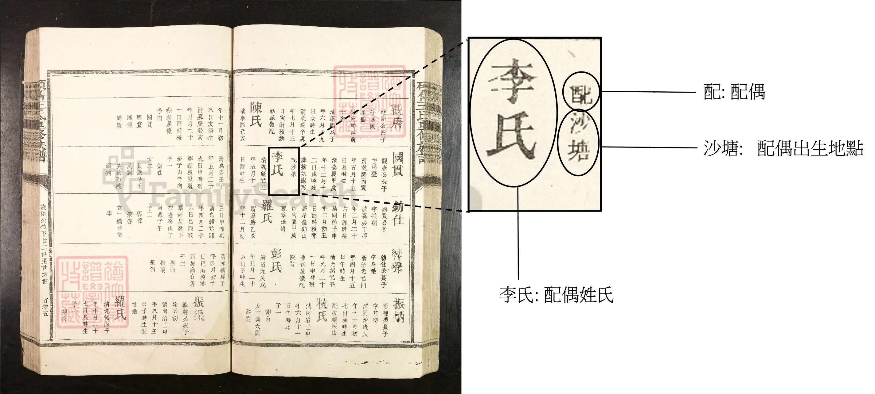 配偶姓氏詳情