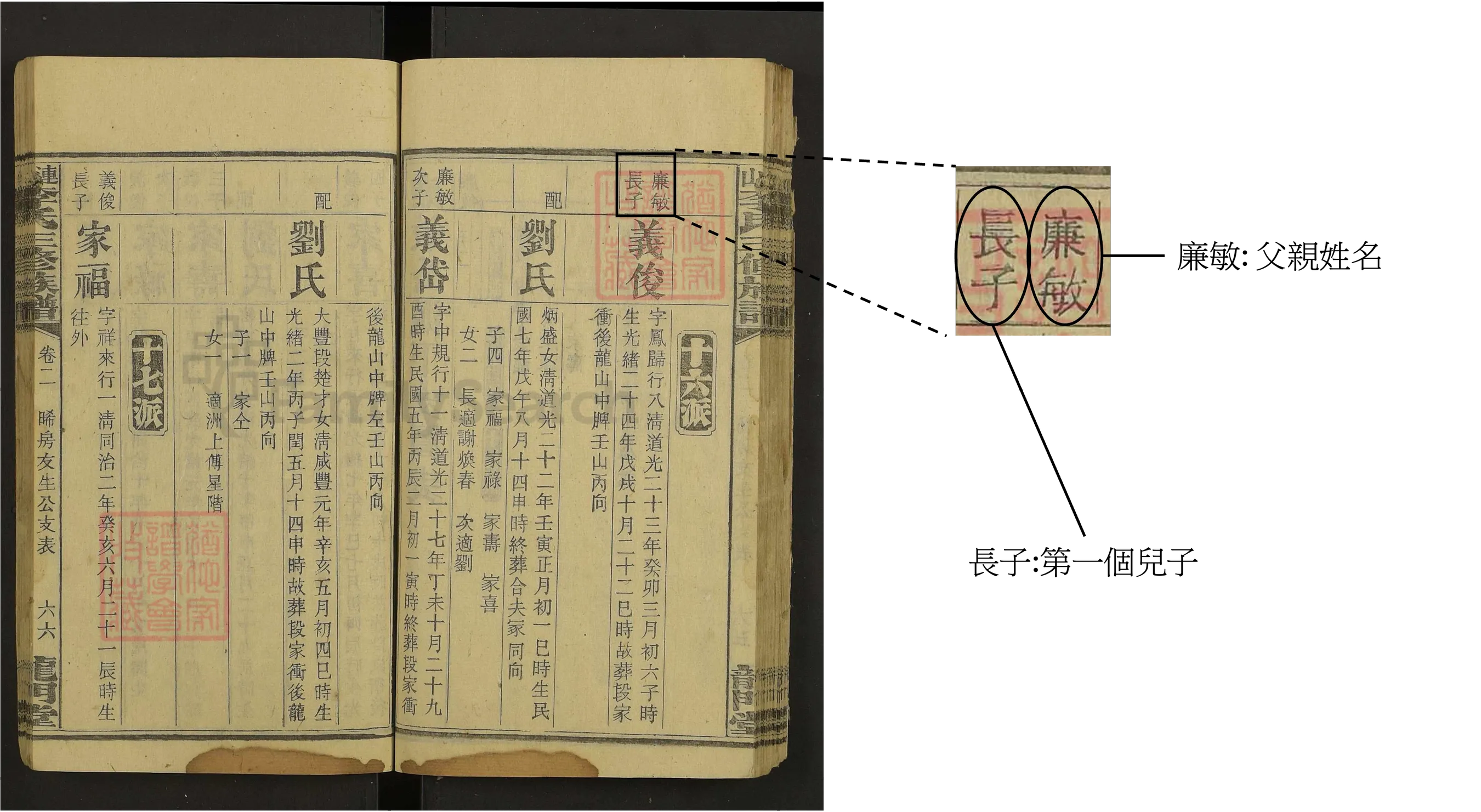 父親姓名與家中排行詳情