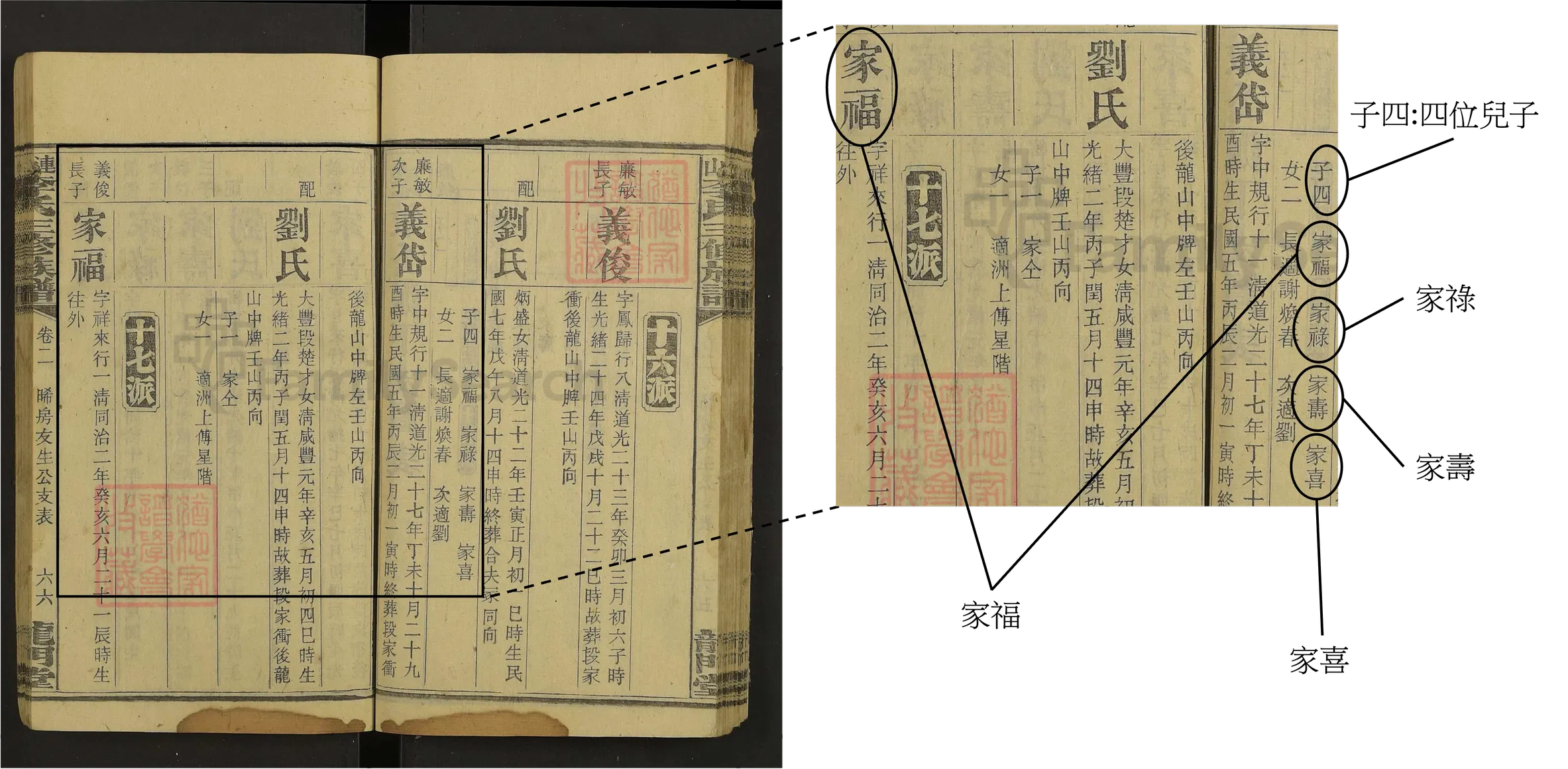 兒子數量詳情