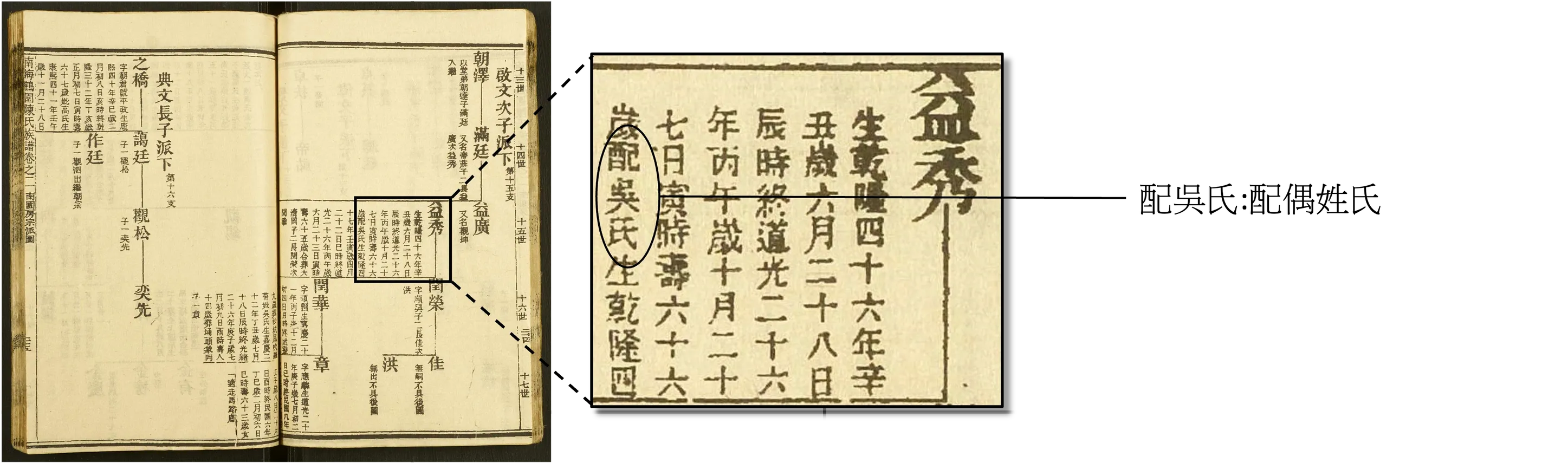 配偶姓氏詳情