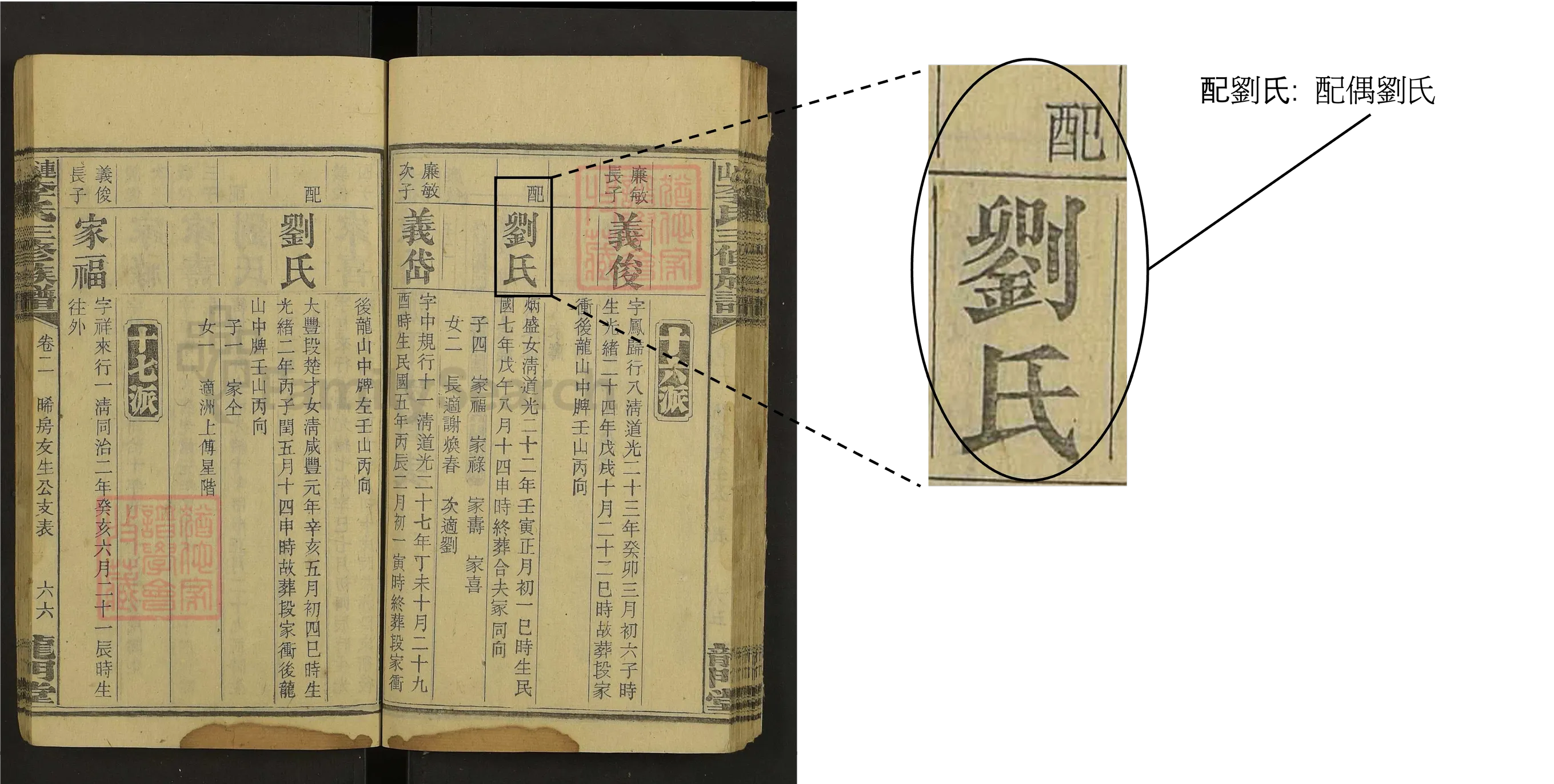 配偶姓氏詳情