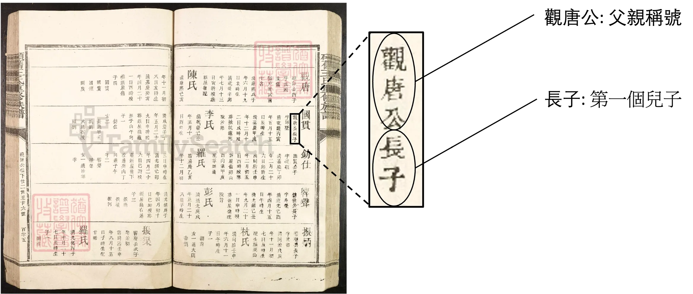父親姓名與家中排行詳情
