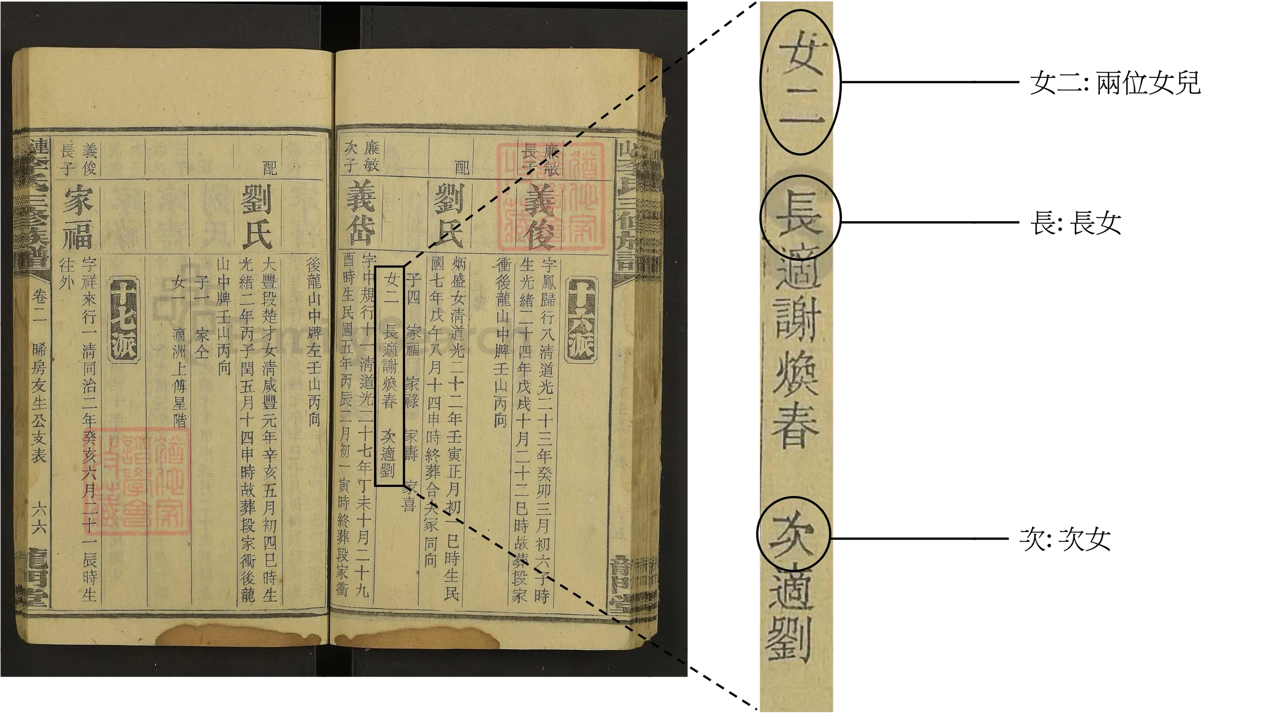 女兒數量詳情