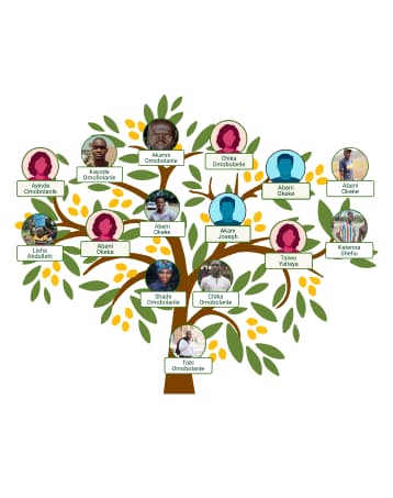 IFT: Sample lemonTree selected
