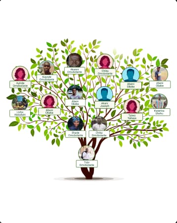 IFT: Sample lotsOfLeaves selected