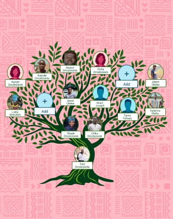 IFT: Sample pinkTree selected