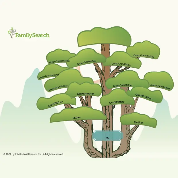 Hintergrund Apac/koreaTraditionalTree auswählen