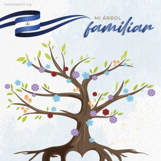 Hintergrund Latam/arbolTreeNicaragua auswählen