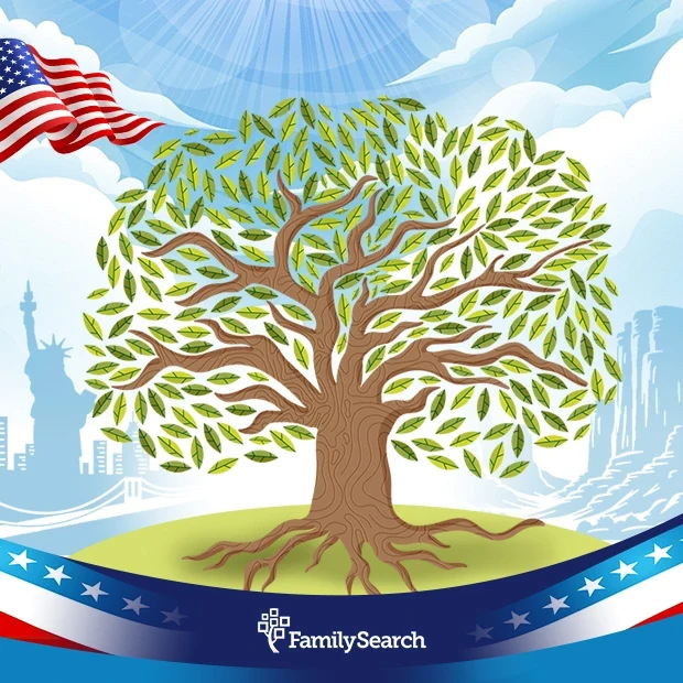 Select United States Tree background