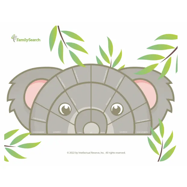 Hintergrund Apac/australiaKoala auswählen