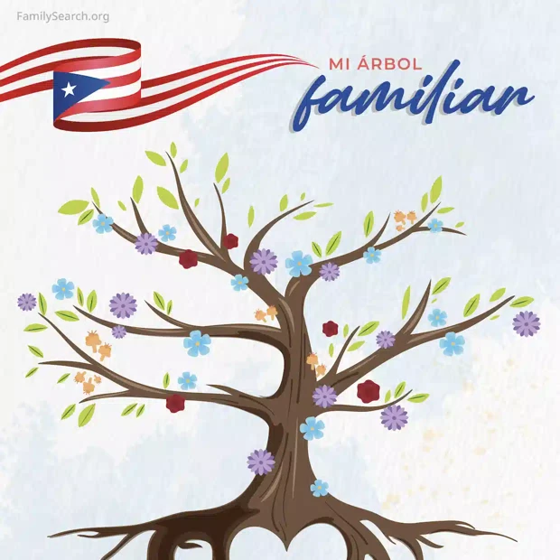 Hintergrund Latam/arbolTreePuertoRico auswählen