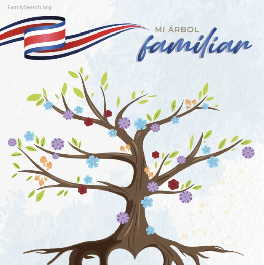 Hintergrund Latam/arbolTreeCostaRica auswählen