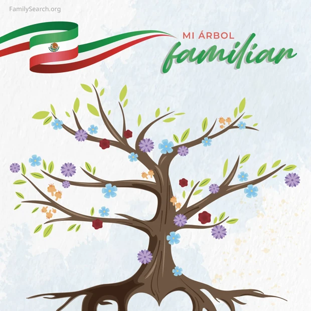 Hintergrund Latam/arbolTreeMexico auswählen