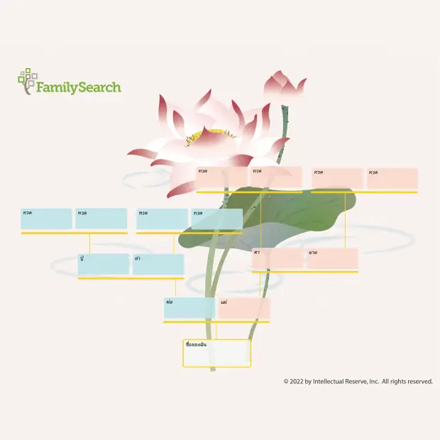 Hintergrund Apac/thailandLotus auswählen