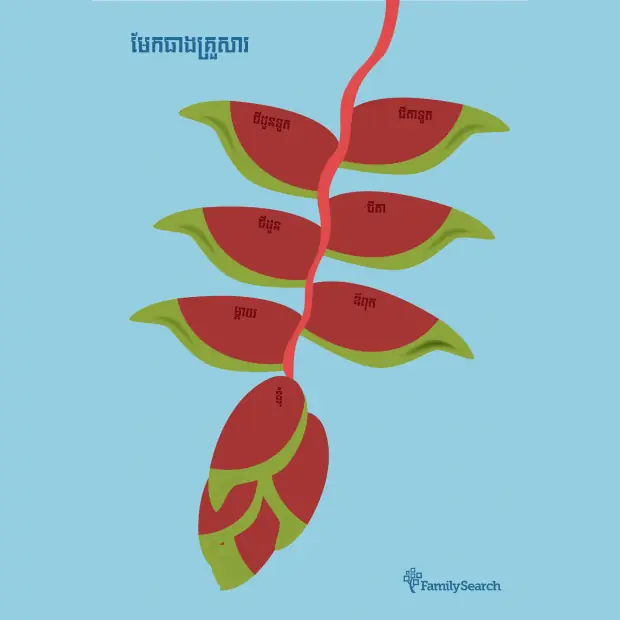 Hintergrund Apac/cambodiaFlower auswählen