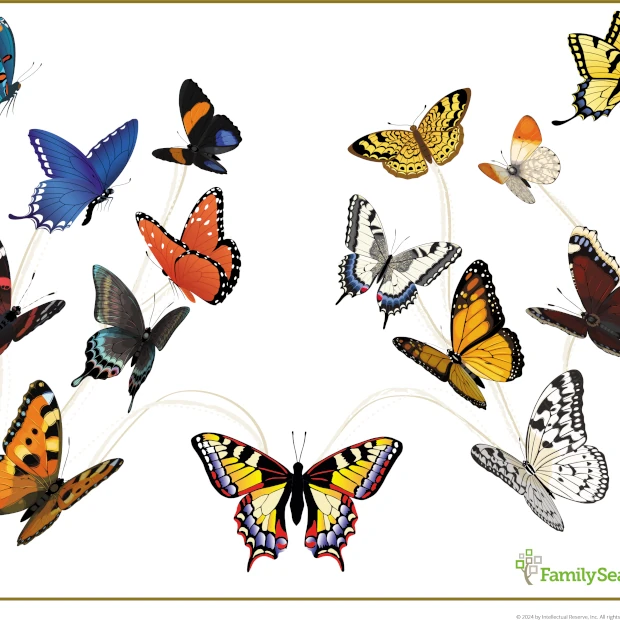 Hintergrund ButterflyTree auswählen