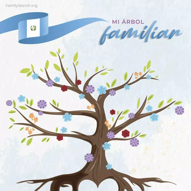 Hintergrund Latam/arbolTreeGuatemala auswählen