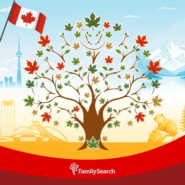 Select Canada Maple Tree background