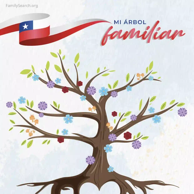 Hintergrund Latam/arbolTreeChile auswählen