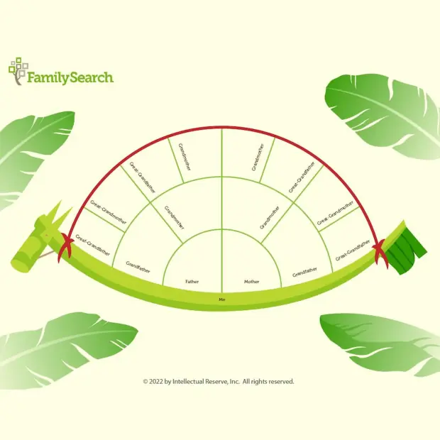 Hintergrund Apac/thailandLeafHorse auswählen