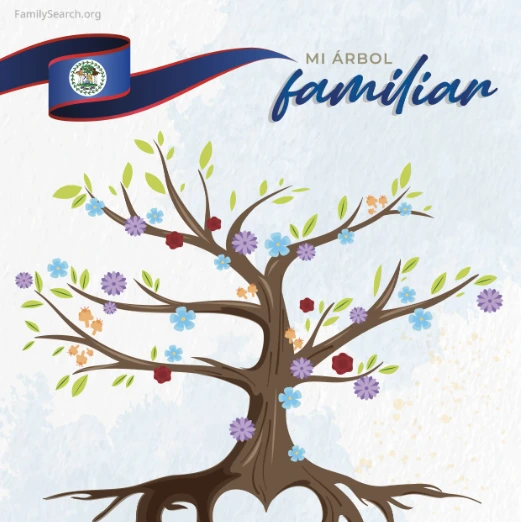 Hintergrund Latam/arbolTreeBelice auswählen