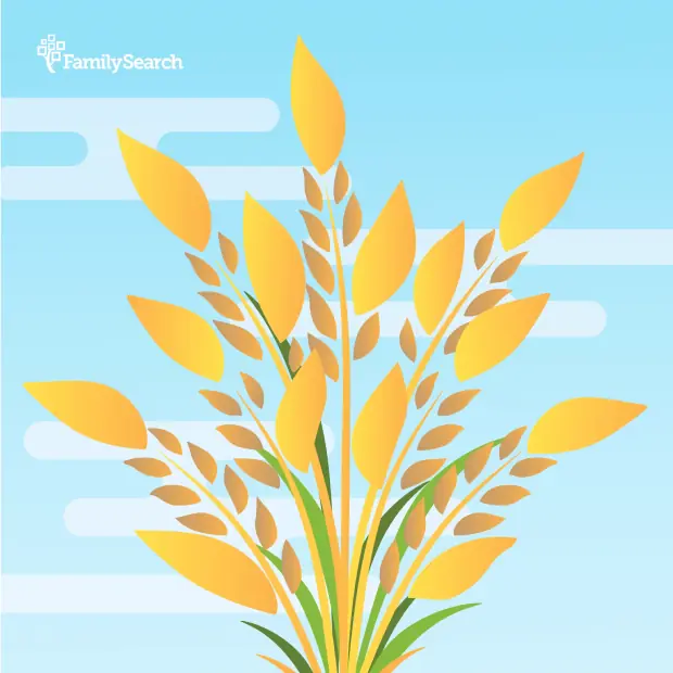 Hintergrund Apac/philippinesRice auswählen