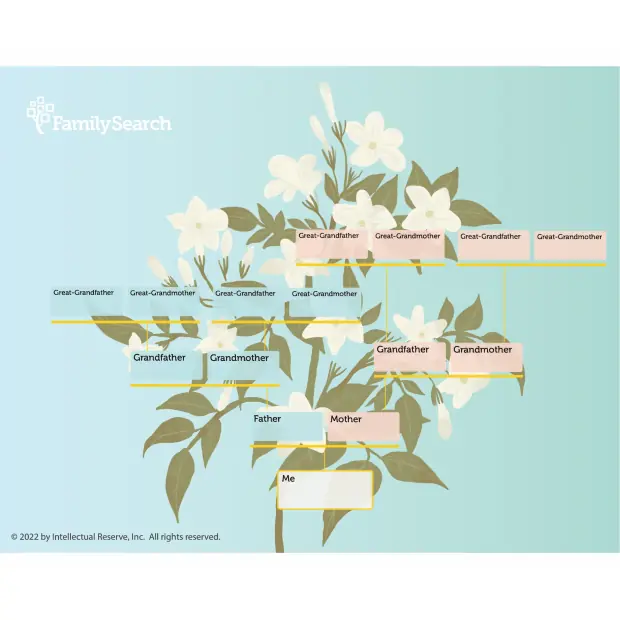 Hintergrund Apac/philippinesSampaguita auswählen