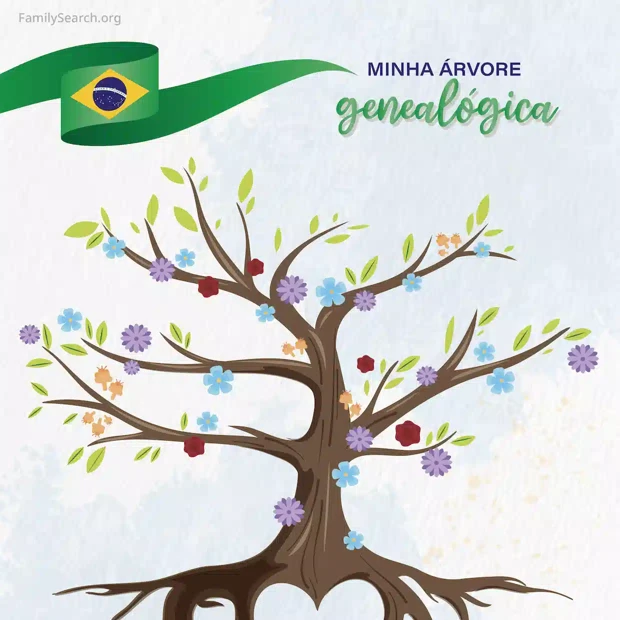 Hintergrund Latam/arbolTreeBrazil auswählen