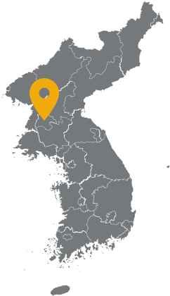 평양시