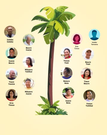 IFT: Sample yellowPalmTree selected